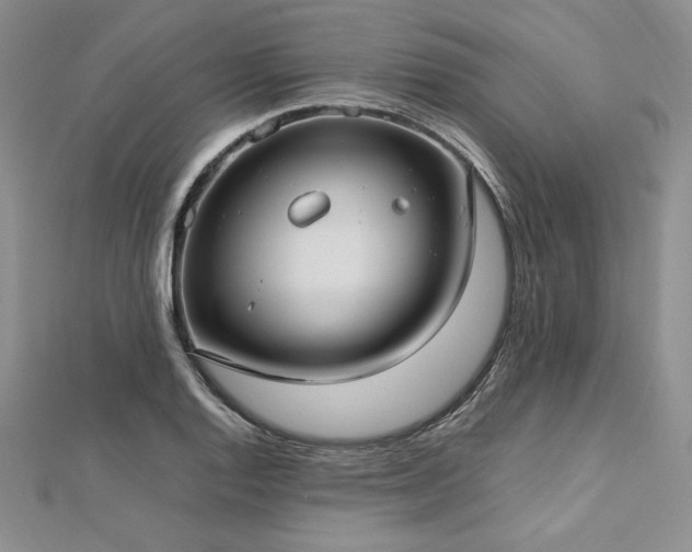 X0000113031128200908271449