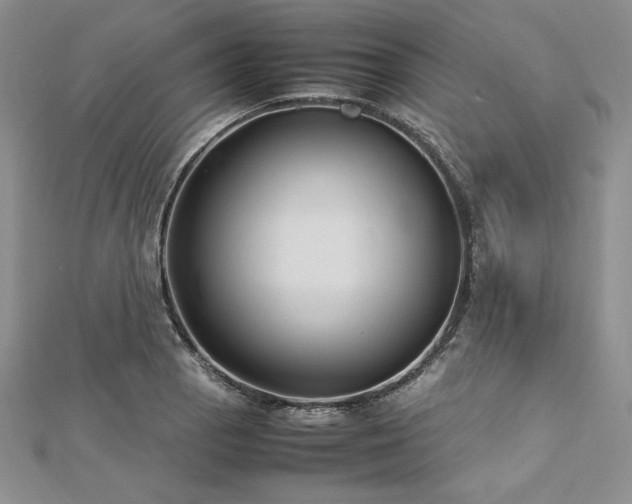 X0000113031129200908271449