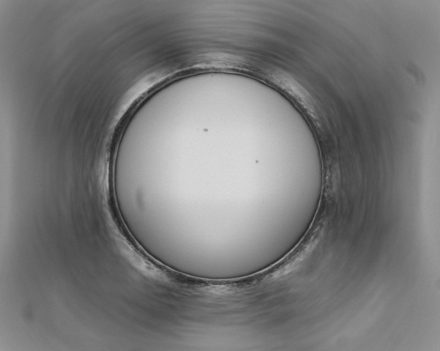 X0000113031130200908271449