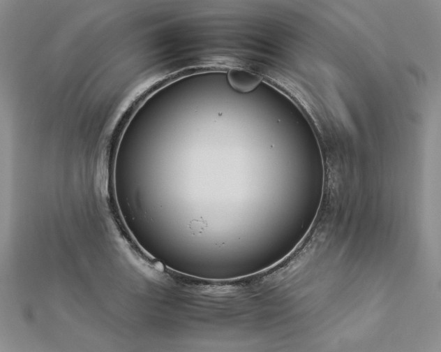 X0000113031131200908271449