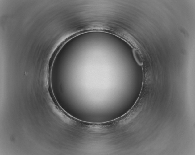 X0000113031132200908271449