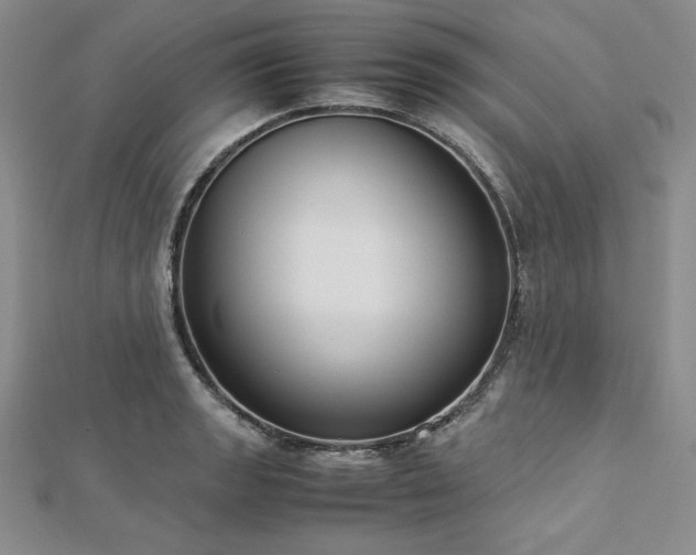 X0000113031133200908271449