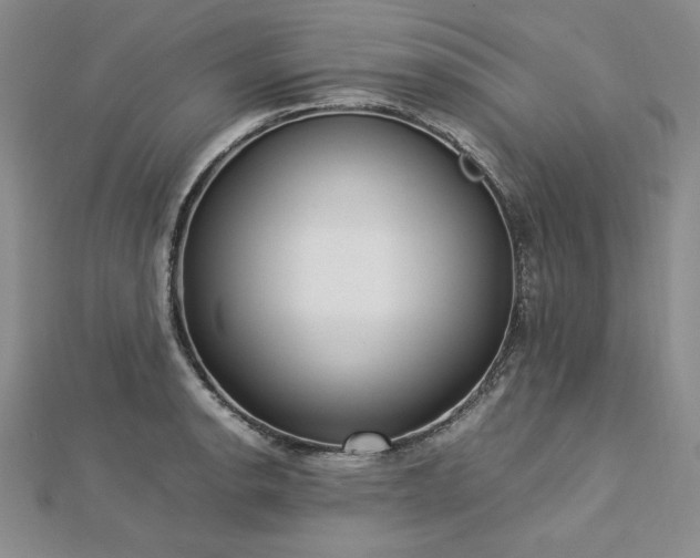 X0000113031134200908271449