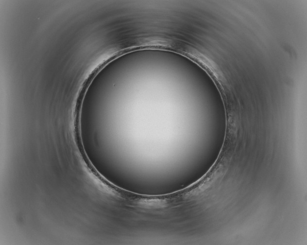 X0000113031135200908271449