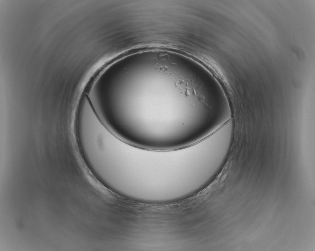 X0000113031136200908271449