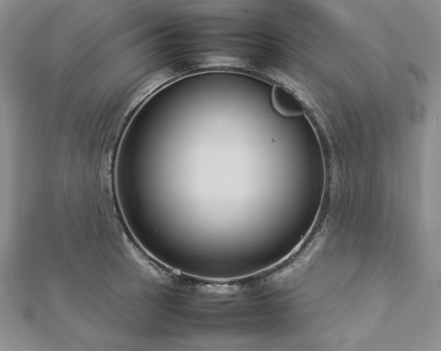 X0000113031137200908271449