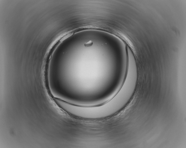 X0000113031138200908271449