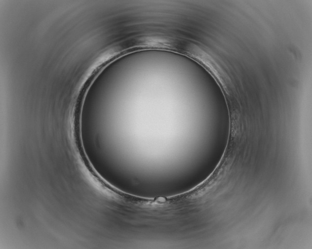 X0000113031139200908271449