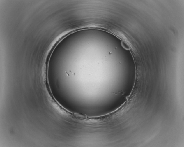 X0000113031140200908271449