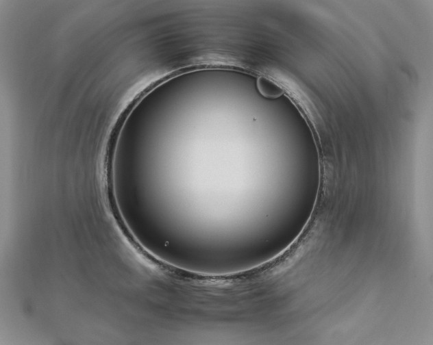 X0000113031141200908271449