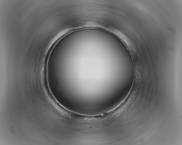 X0000113031142200908271449