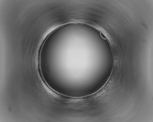 X0000113031143200908271449