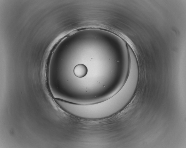 X0000113031144200908271449