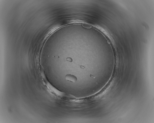 X0000113031145200908271449