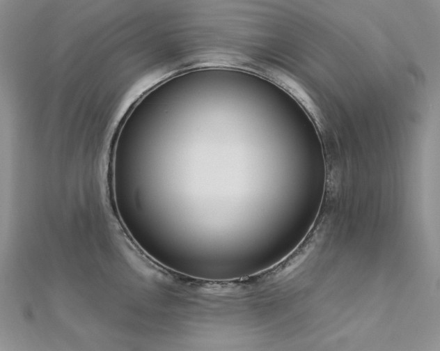 X0000113031146200908271449