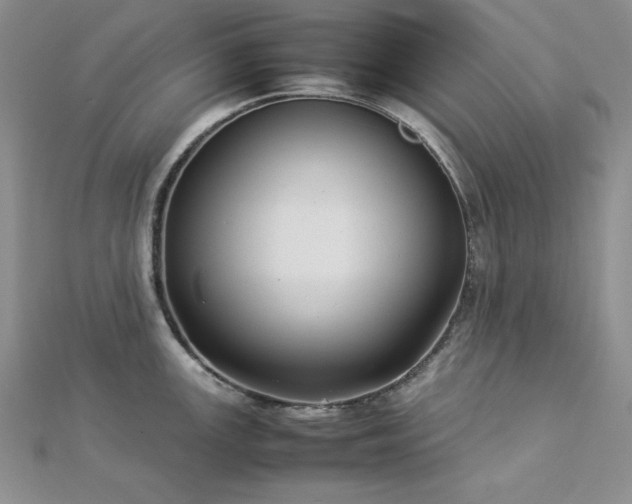 X0000113031147200908271449