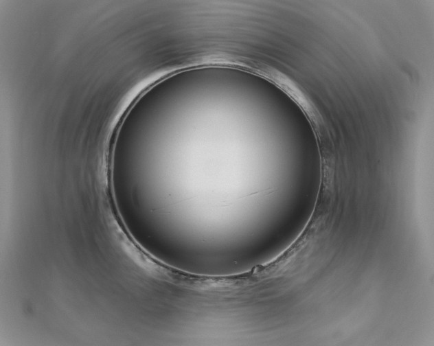 X0000113031148200908271449