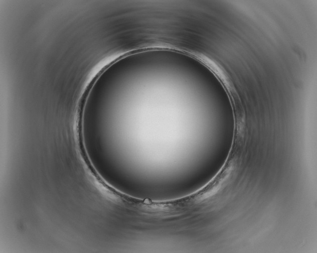 X0000113031149200908271449