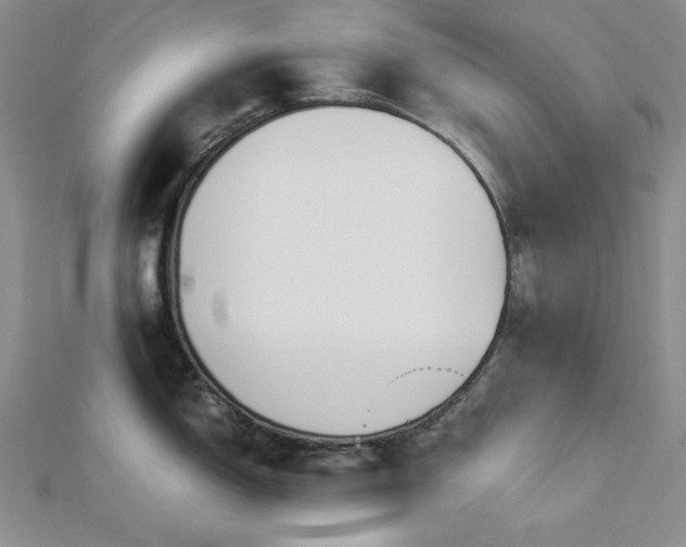 X0000113031150200908271449