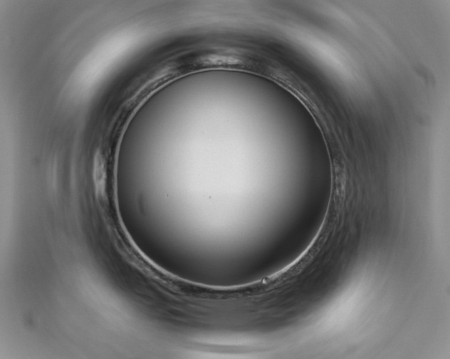 X0000113031151200908271449