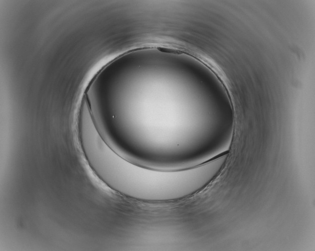 X0000113031152200908271449