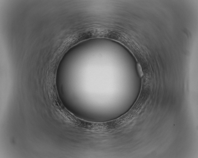 X0000113031153200908271449