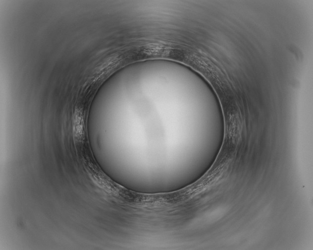 X0000113031154200908271449