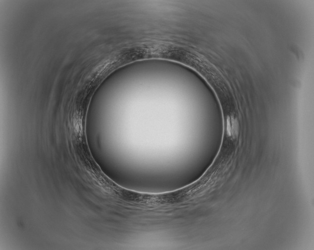 X0000113031155200908271449