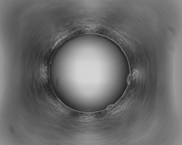 X0000113031156200908271449