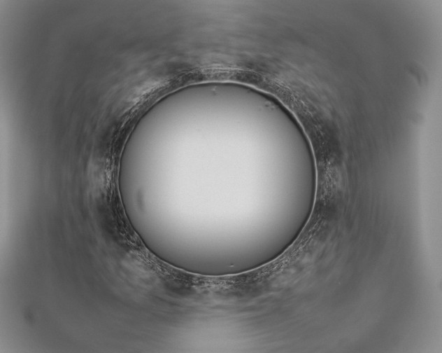 X0000113031157200908271449