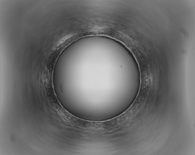 X0000113031158200908271449