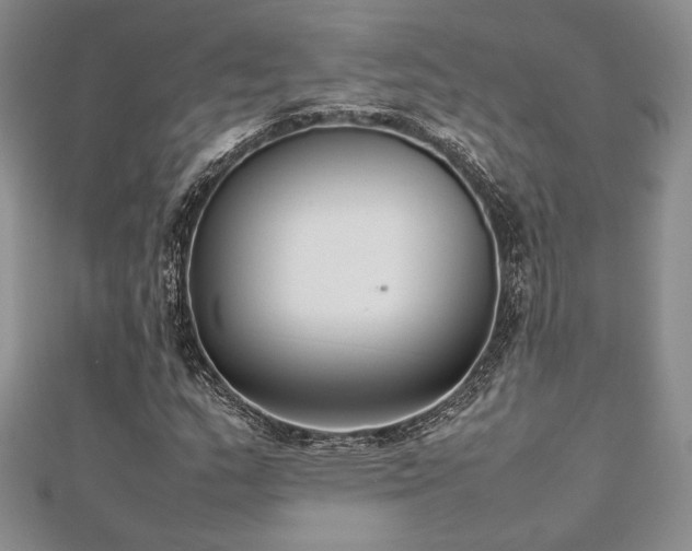 X0000113031159200908271449