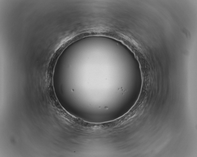 X0000113031160200908271449