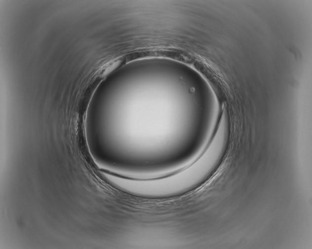 X0000113031161200908271449