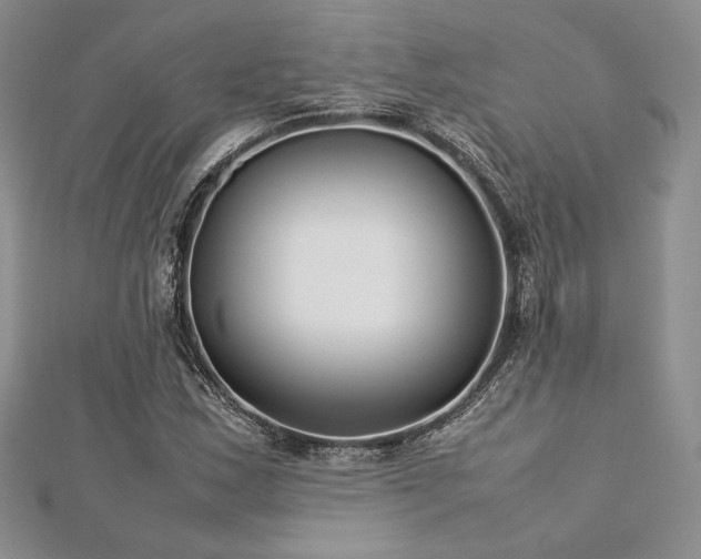 X0000113031163200908271448