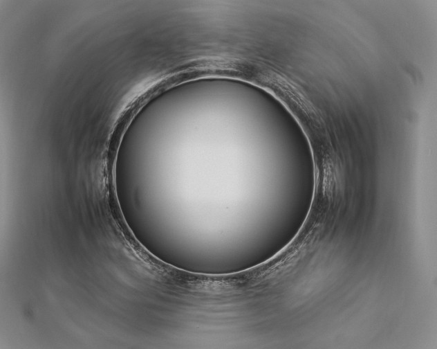 X0000113031164200908271448