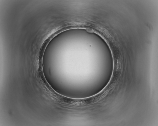 X0000113031165200908271448