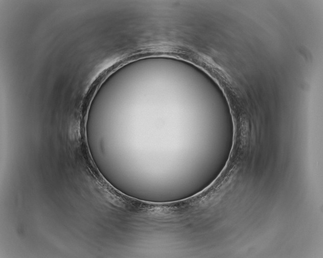 X0000113031166200908271448