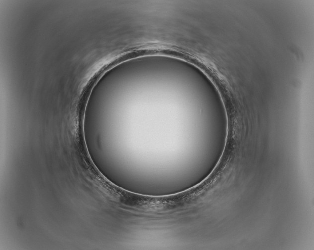 X0000113031167200908271448