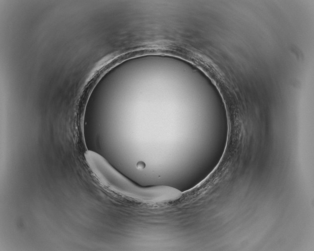 X0000113031168200908271448