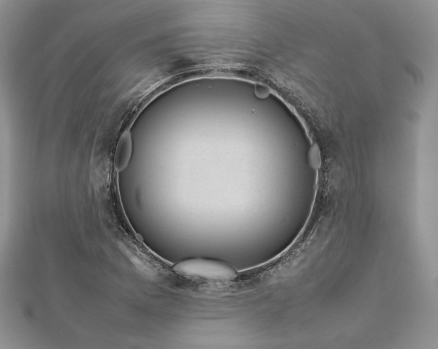 X0000113031169200908271448