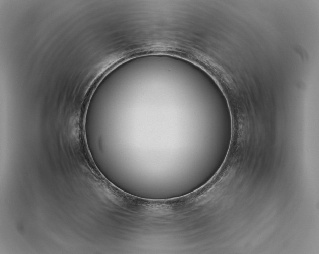 X0000113031170200908271448