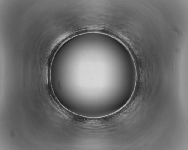 X0000113031171200908271448