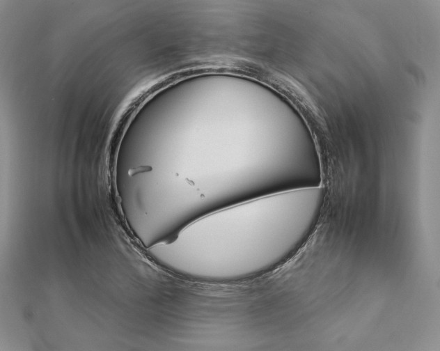 X0000113031172200908271448