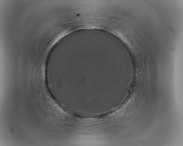 X0000113031173200908271448