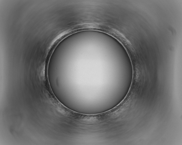 X0000113031174200908271448