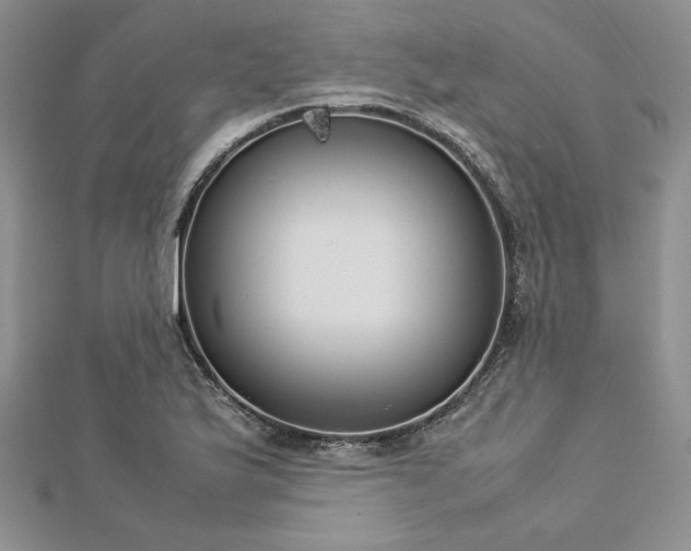 X0000113031175200908271448