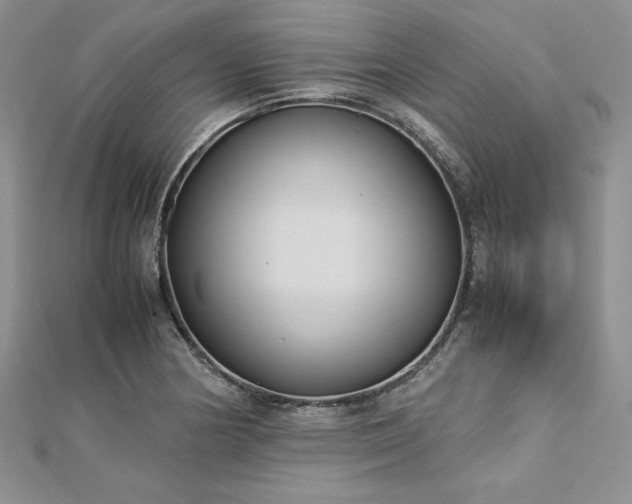 X0000113031178200908271448