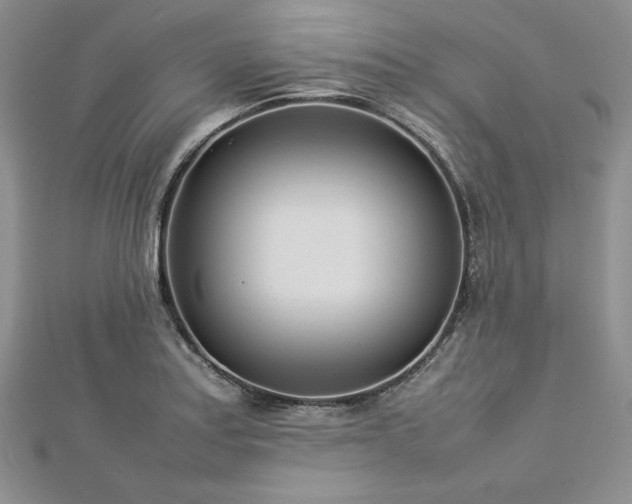 X0000113031179200908271448