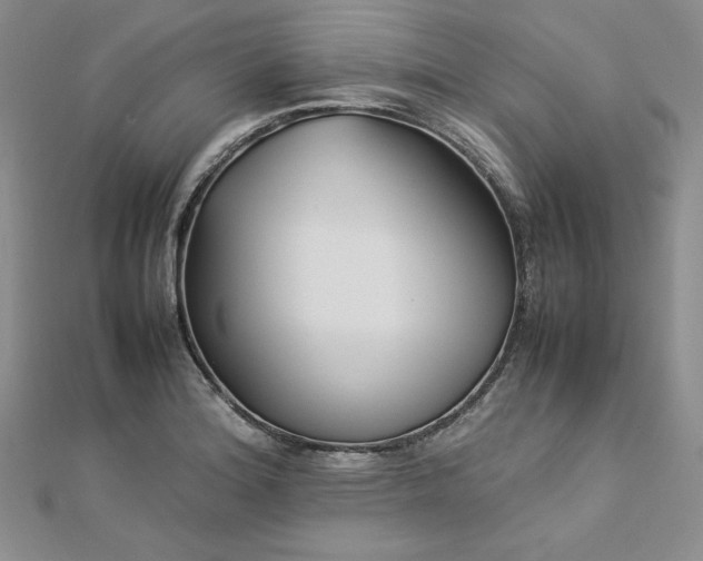 X0000113031180200908271448